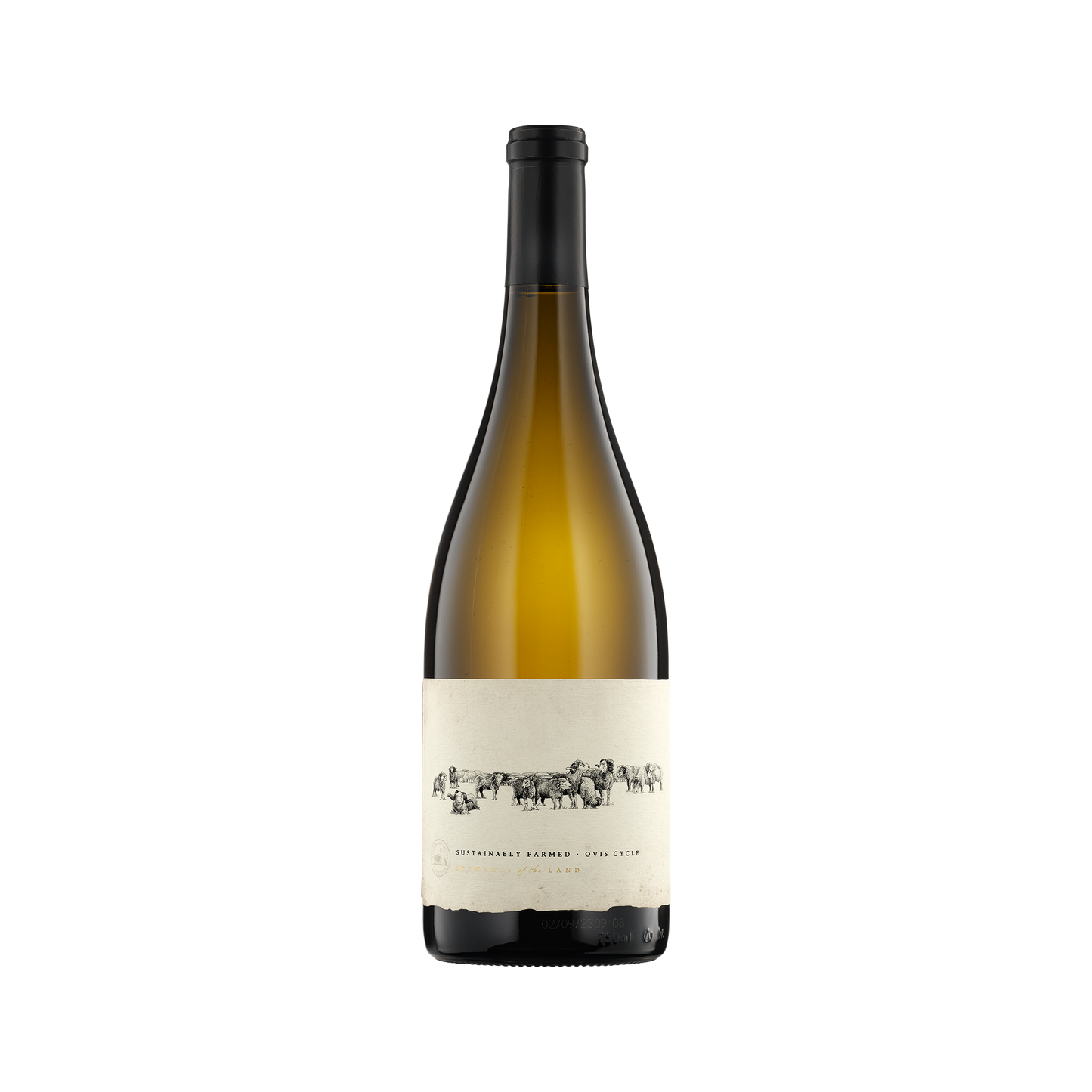 A bottle of 13 Rams 2021 Chardonnay