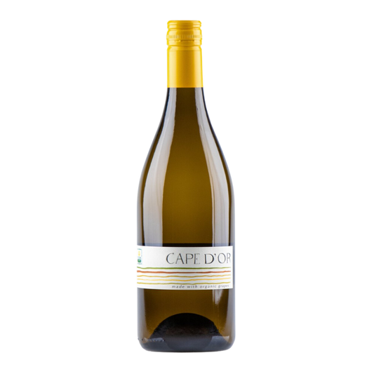 2022 Cape D'Or Wines Chenin Blanc Western Cape