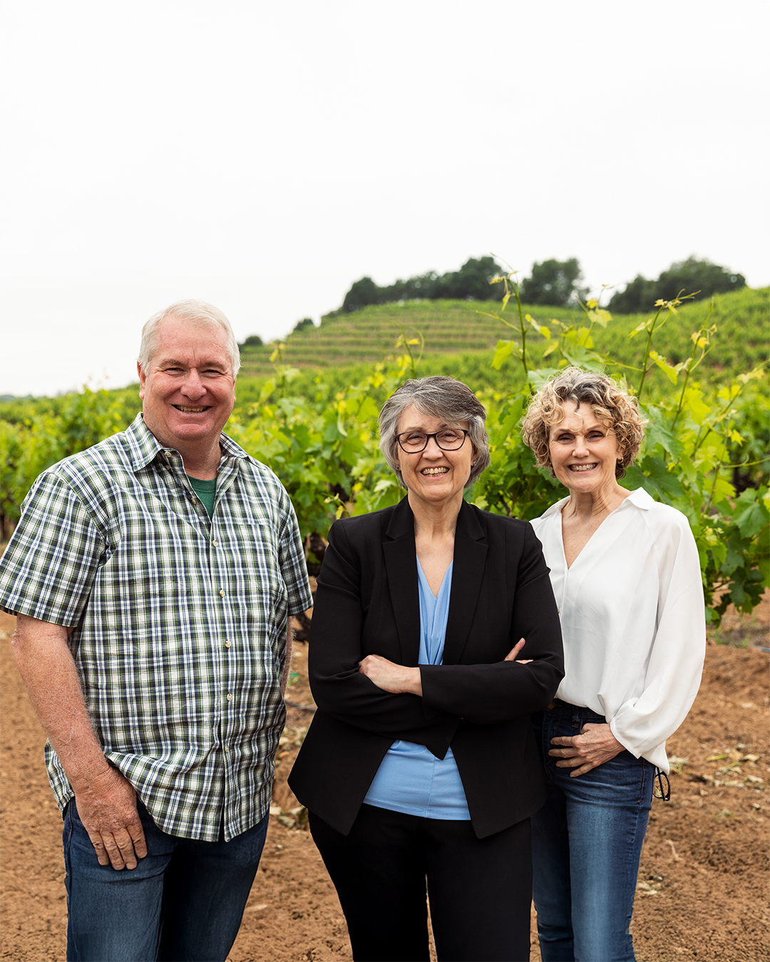 Pedroncelli Winery Profile