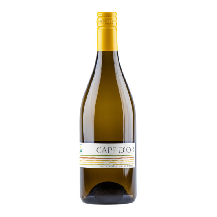 2022 Cape D'Or Wines Chenin Blanc Western Cape