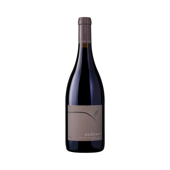 Andante Vineyard Estate Pinot Noir Van Duzer Corridor Willamette Valley OR 2019