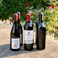 six bottles of wine displayed in three rows displayed outside by a rosebush 