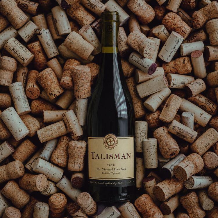 Pinot Noir Club